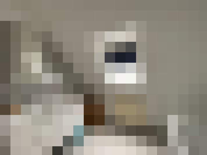  / #12
