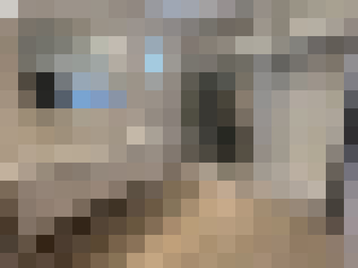  / #8