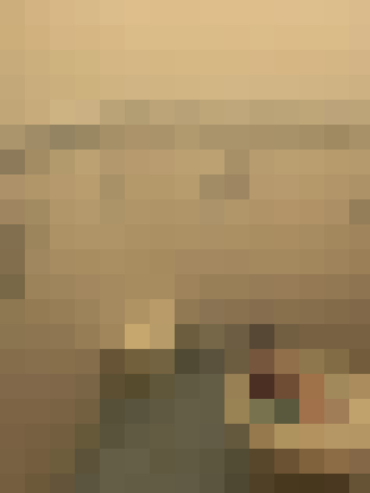  / #11