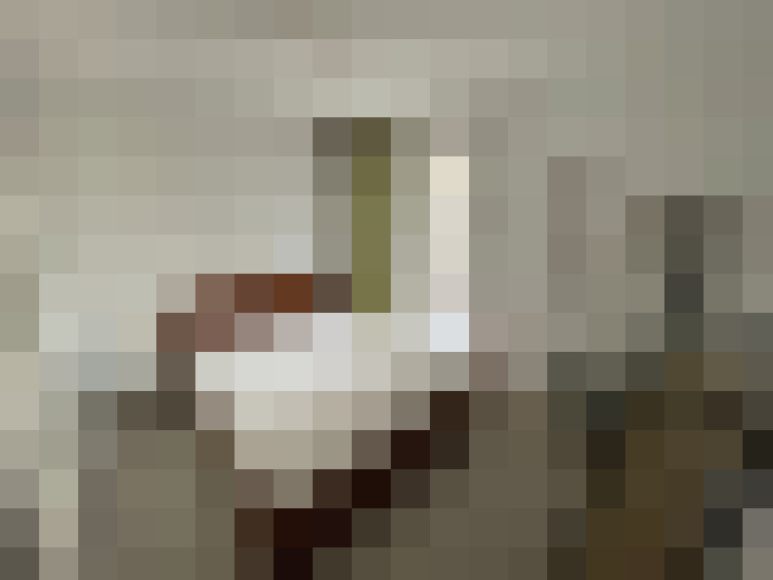  / #8