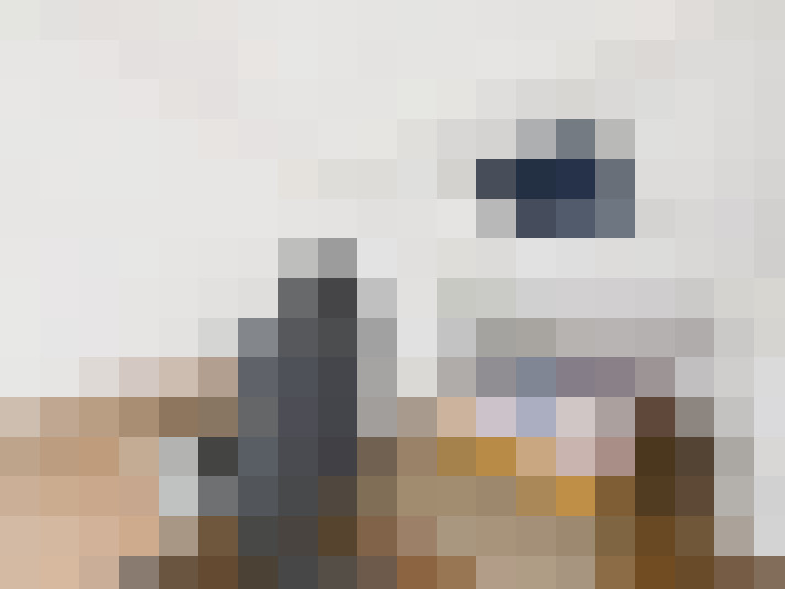  / #6