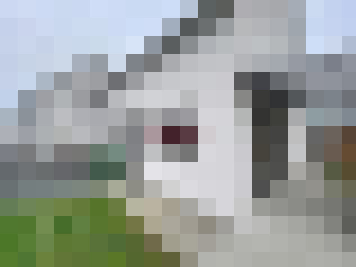  / #18