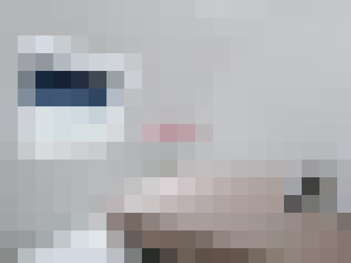  / #14