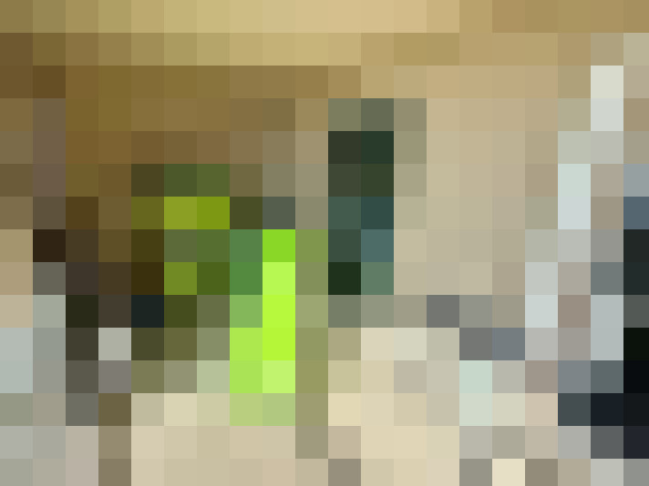  / #13