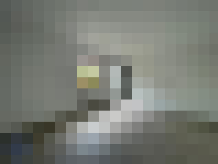  / #13