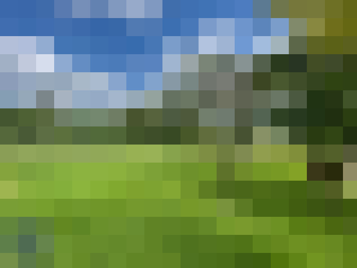  / #16