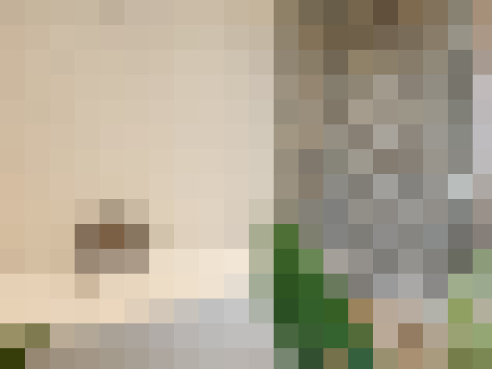  / #17