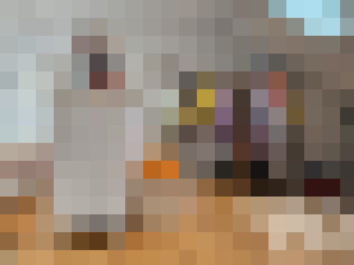  / #23