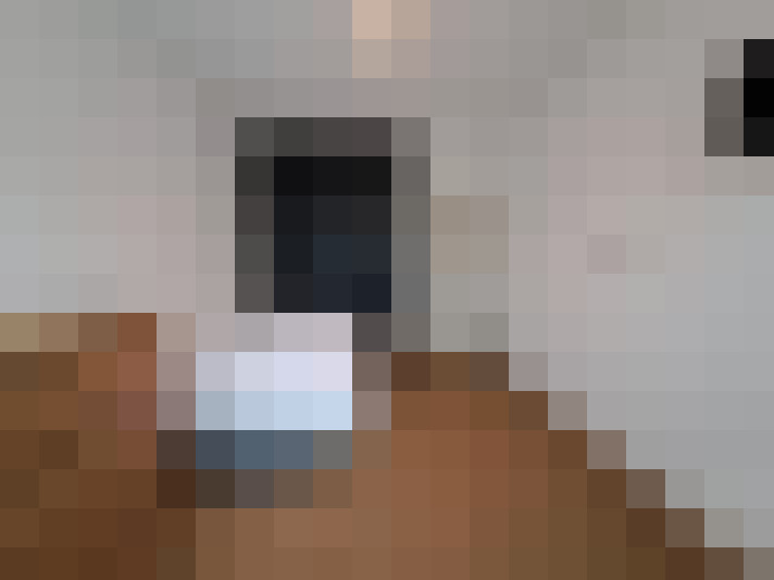  / #12