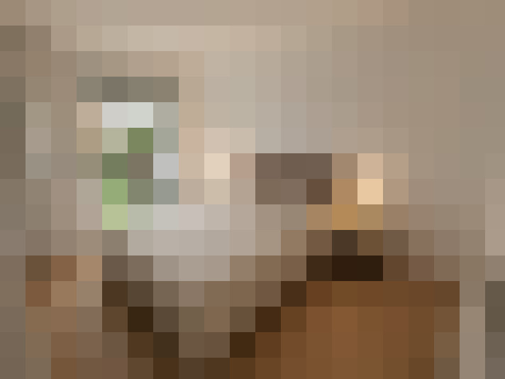  / #8