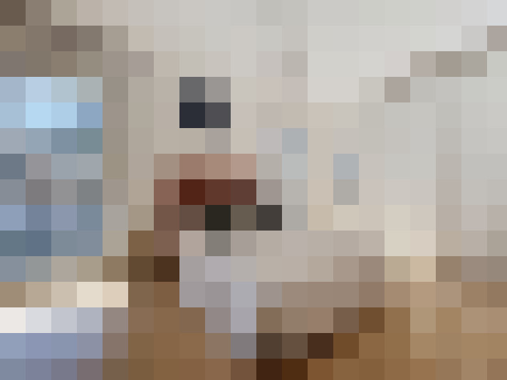  / #8