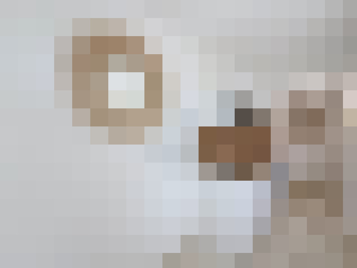  / #9