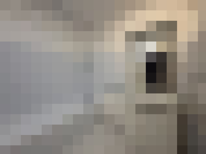  / #12