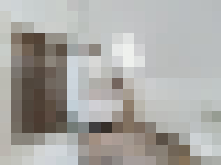  / #14