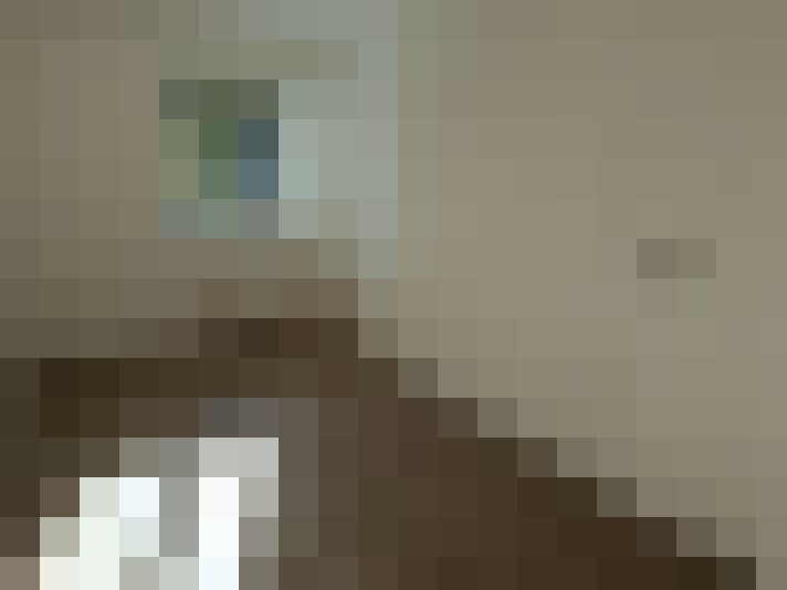  / #7