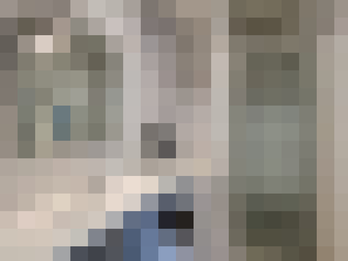  / #7