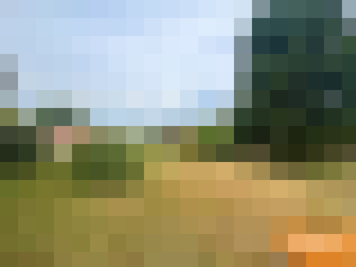  / #16