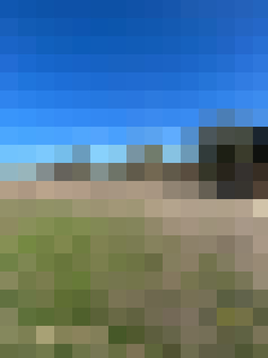  / #16