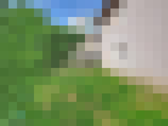 / #7