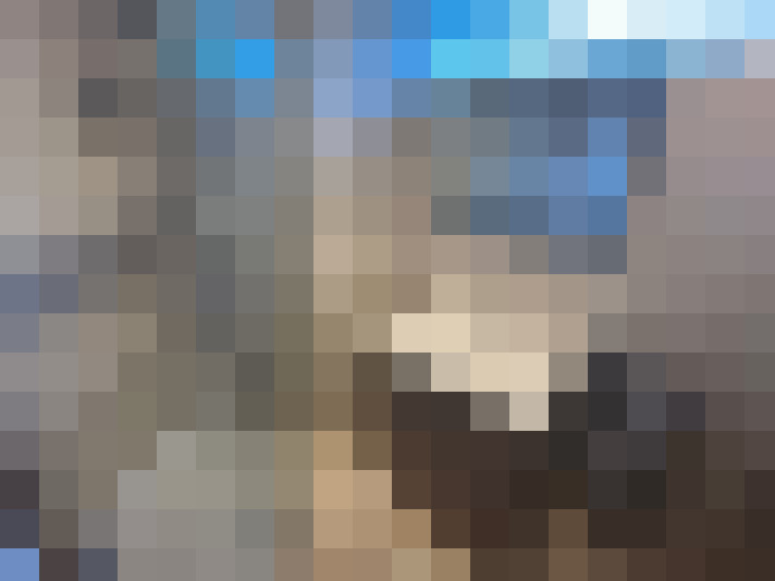  / #14