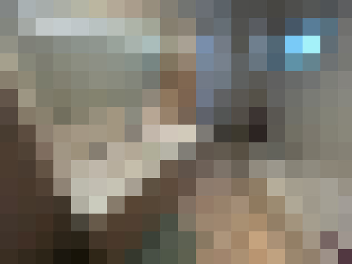 / #15