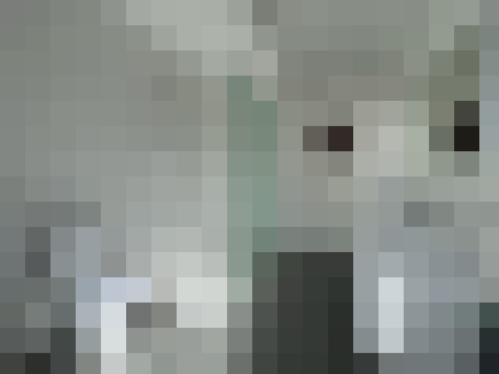  / #12