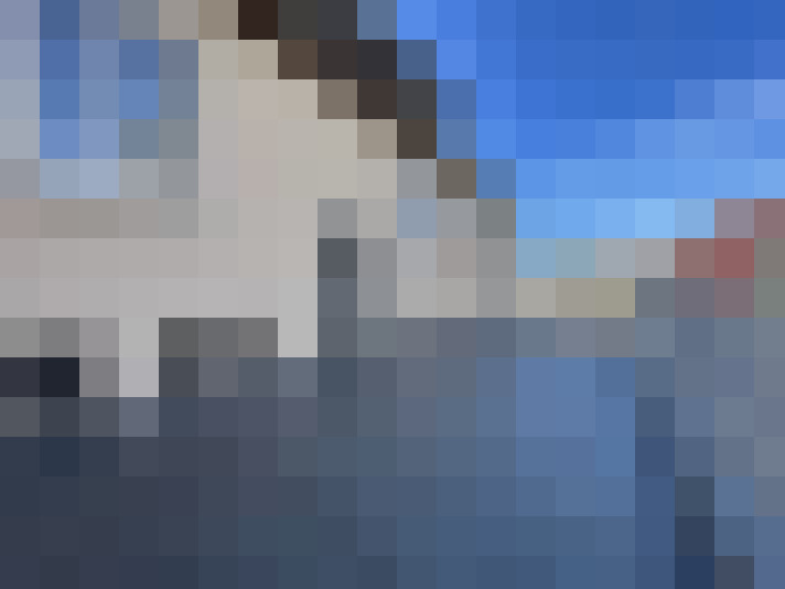  / #14