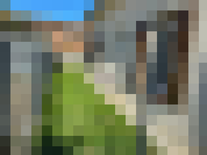  / #11