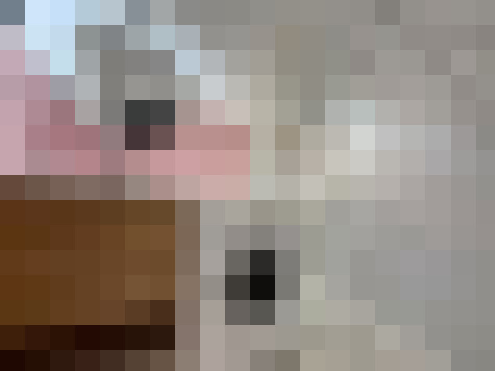  / #12