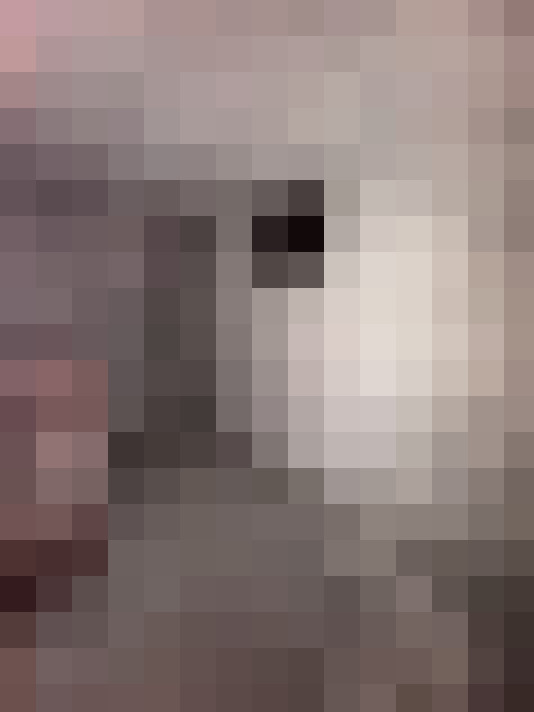  / #16