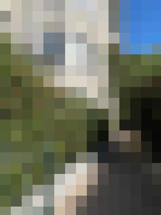  / #13