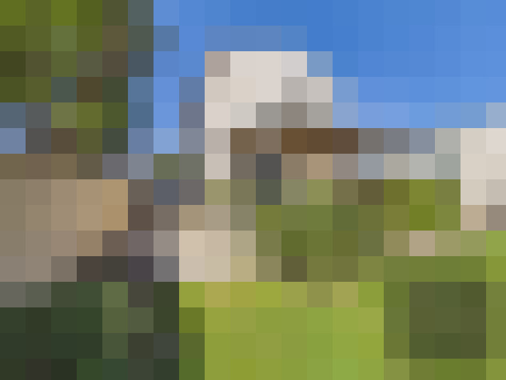  / #14