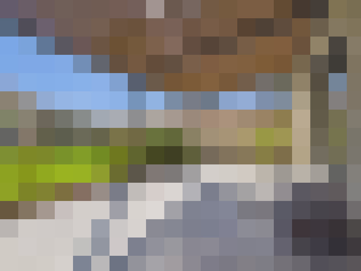  / #19
