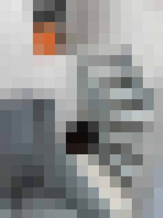  / #19