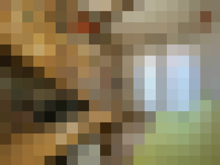  / #14