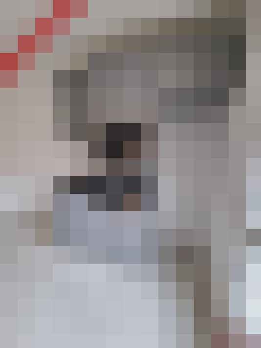  / #15