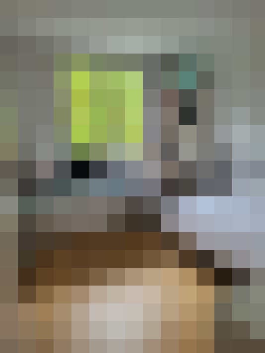  / #12