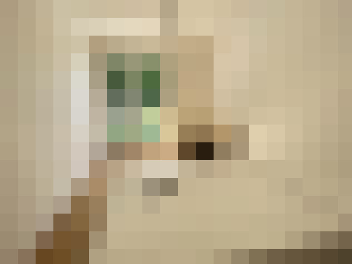  / #6