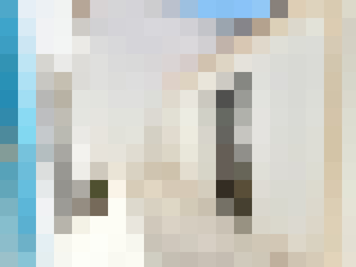  / #15