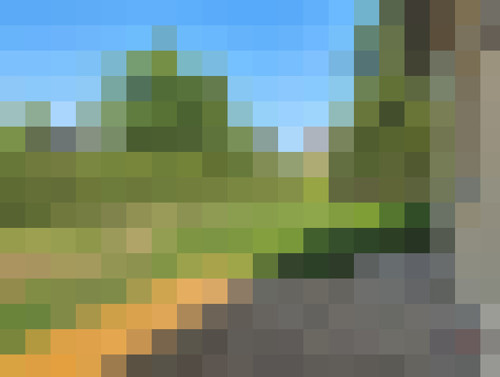  / #5