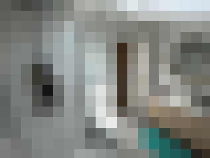  / #19