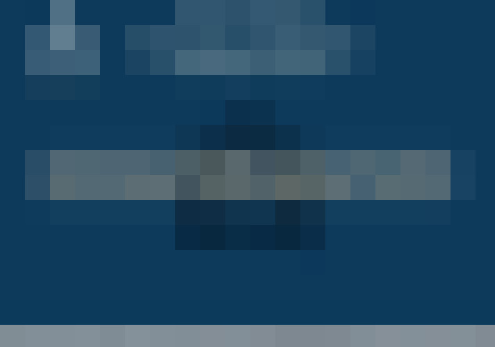 / #11