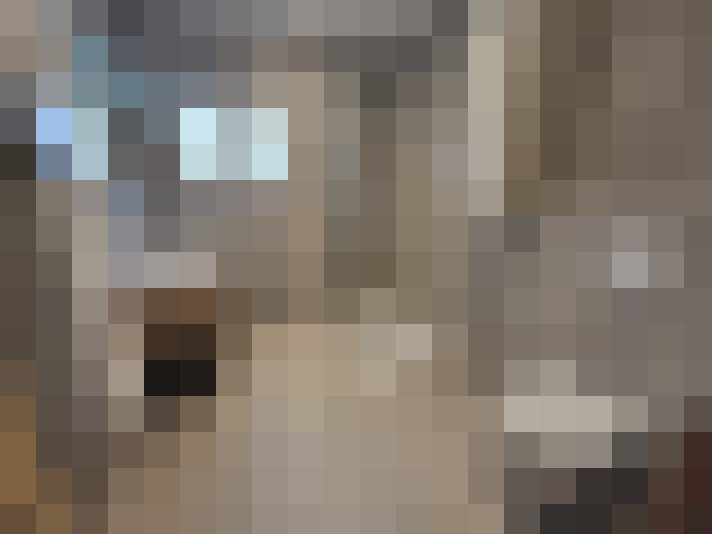  / #8