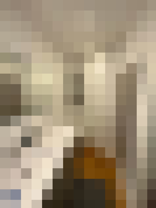  / #19