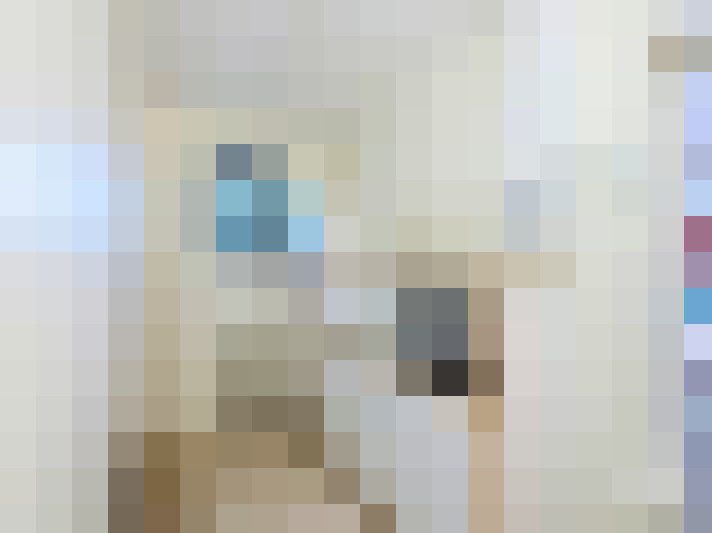  / #15