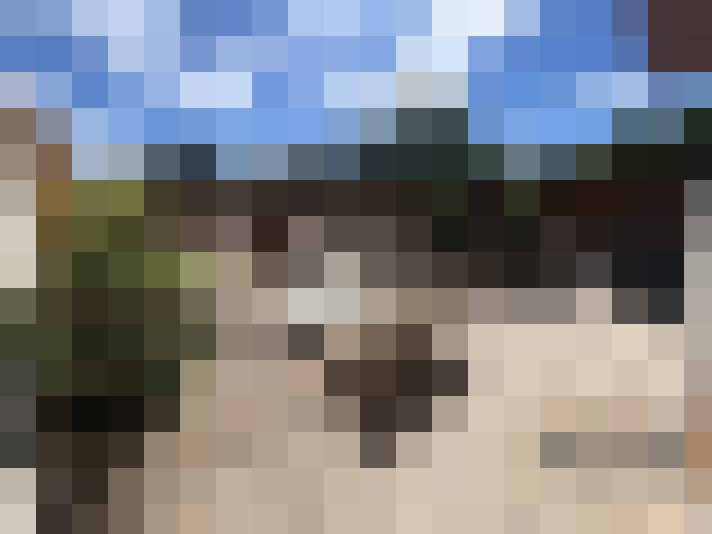  / #7