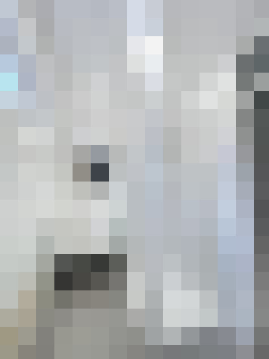  / #15
