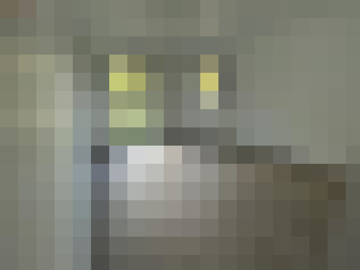  / #14