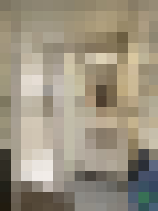  / #16