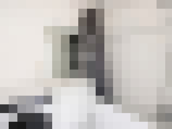  / #11